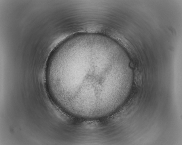 X0000111880536200908131635