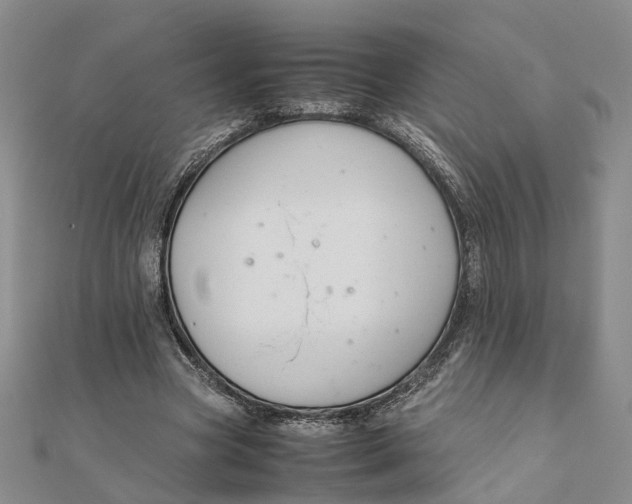 X0000111880537200908131635