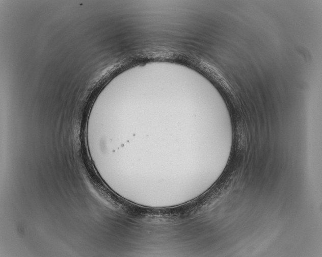 X0000111880538200908131635