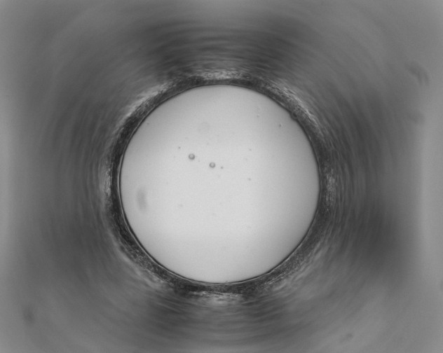 X0000111880539200908131635