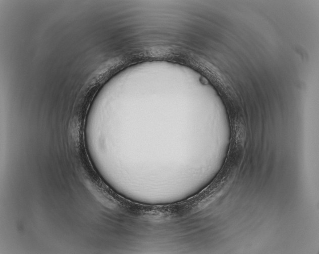 X0000111880542200908131635