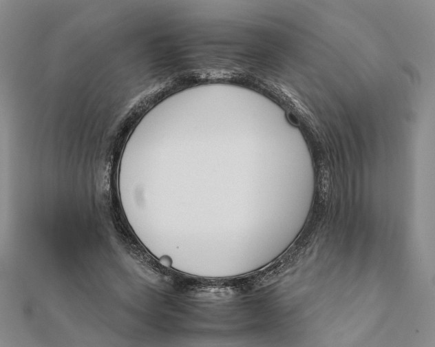 X0000111880543200908131635