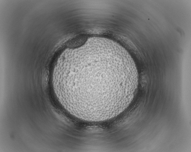 X0000111880544200908131635