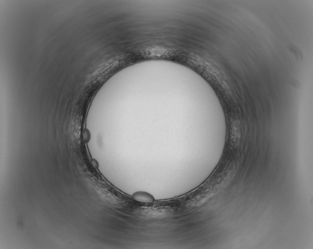 X0000111880545200908131635