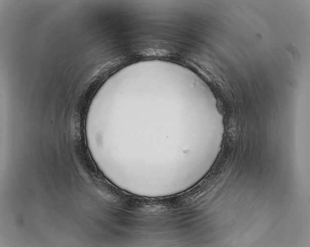 X0000111880547200908131636