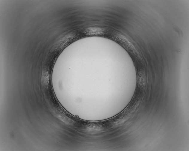 X0000111880549200908131636