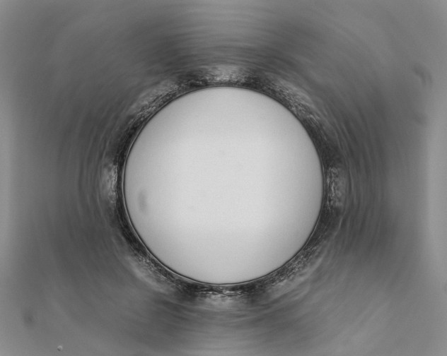 X0000111880550200908131636