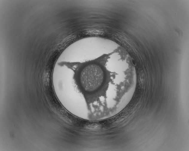 X0000111880551200908131636