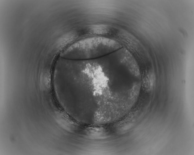 X0000111880552200908131636