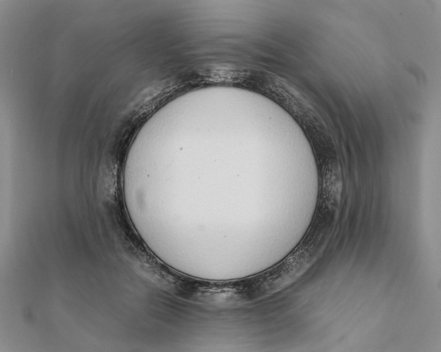 X0000111880554200908131636