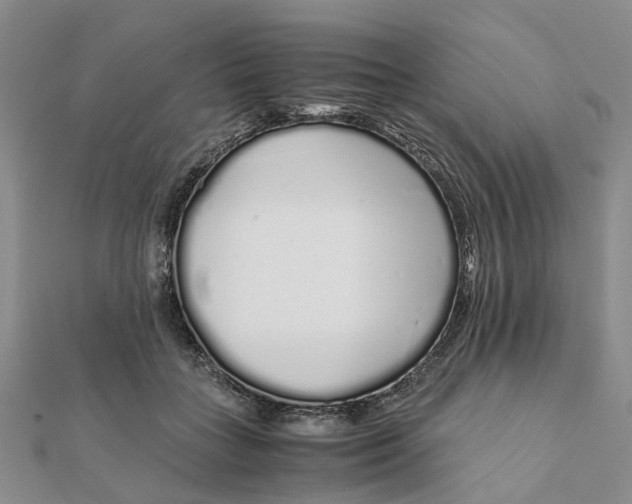 X0000111880555200908131636