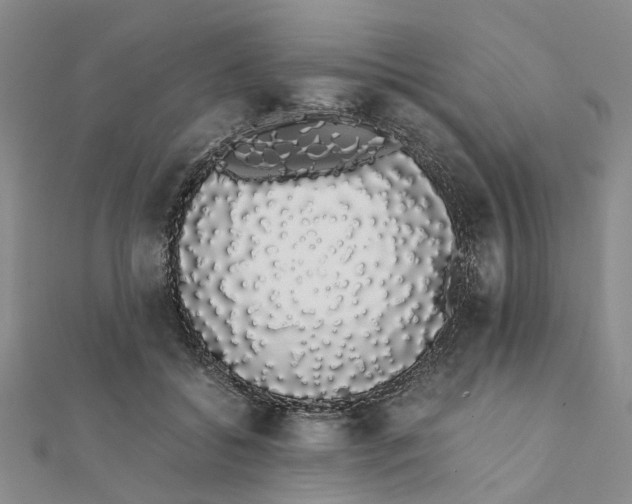 X0000111880556200908131636