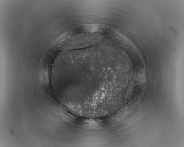 X0000111880558200908131636