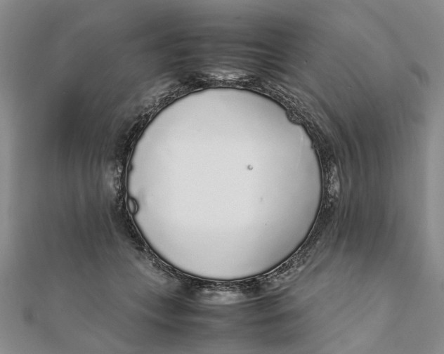 X0000111880559200908131636