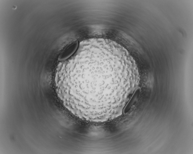 X0000111880560200908131636