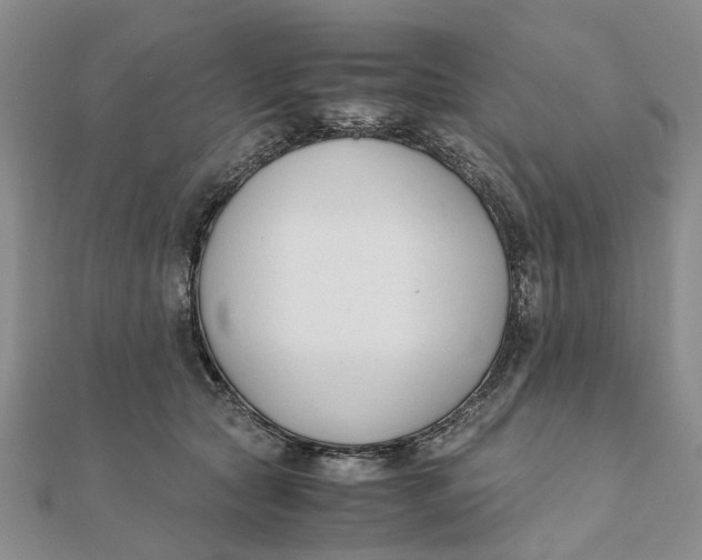 X0000111880561200908131636