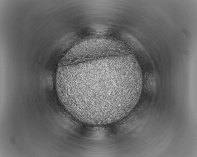 X0000111880562200908131636