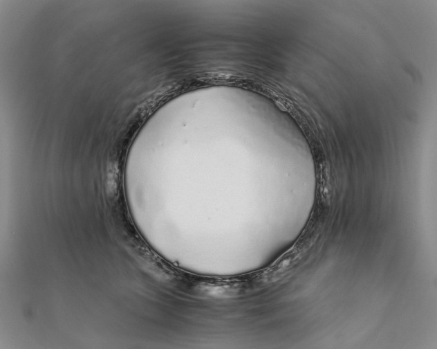 X0000111880563200908131636