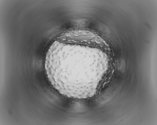 X0000111880564200908131636