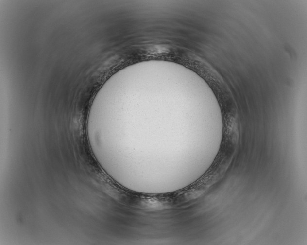 X0000111880565200908131636