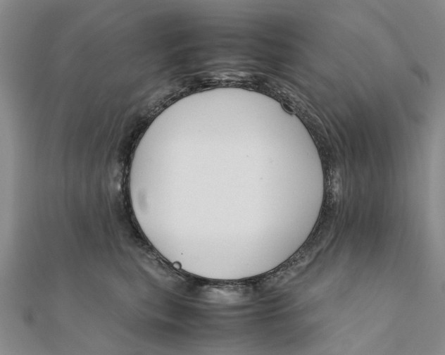 X0000111880567200908131636