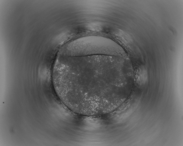 X0000111880568200908131636