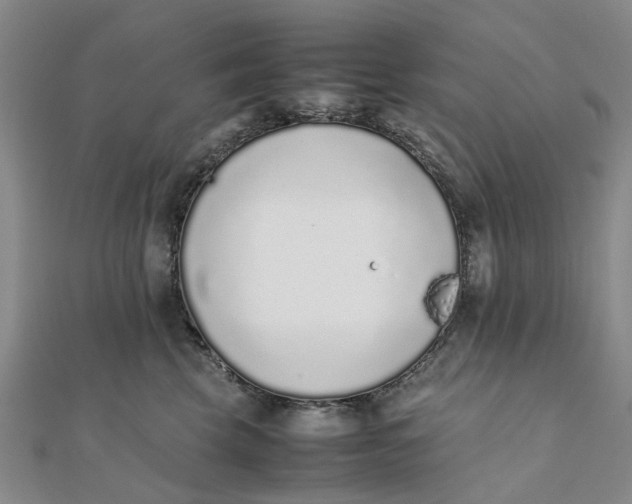 X0000111880569200908131636