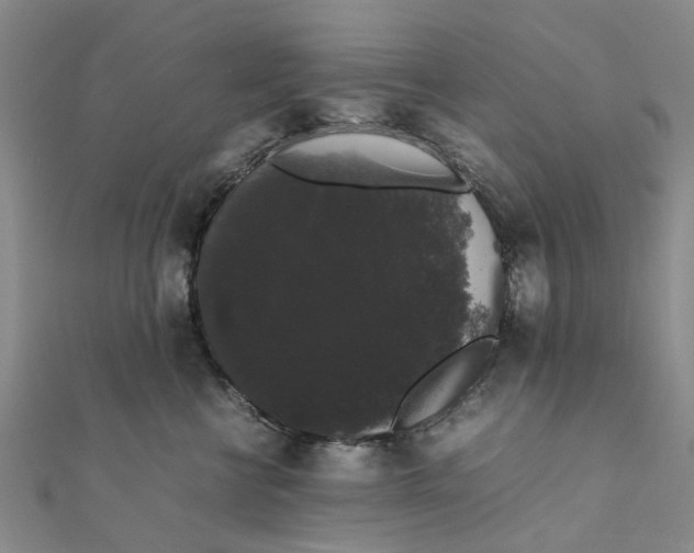 X0000111880570200908131636