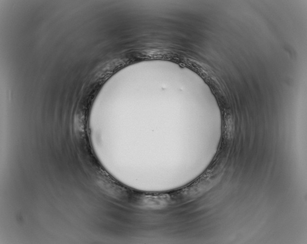 X0000111880571200908131636