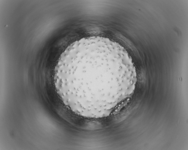 X0000111880572200908131636