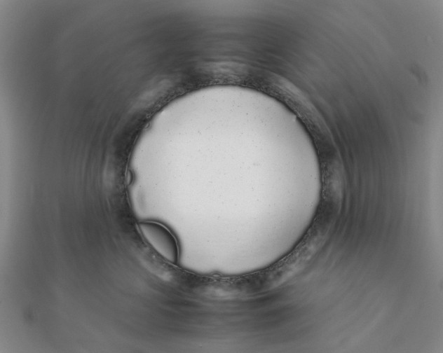 X0000111880573200908131636