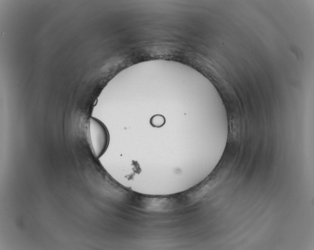 X0000111880575200908131636