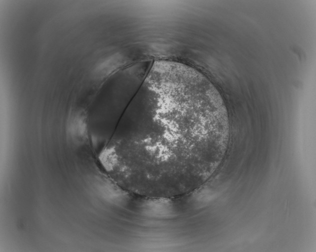 X0000111880576200908131636