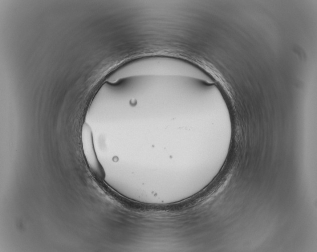 X0000111880577200908131635