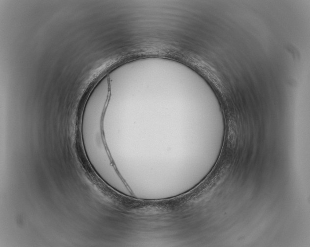 X0000111880578200908131635