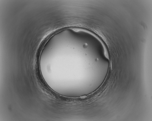 X0000111880579200908131635