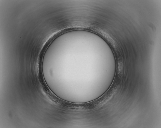 X0000111880580200908131635