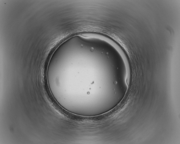 X0000111880581200908131635