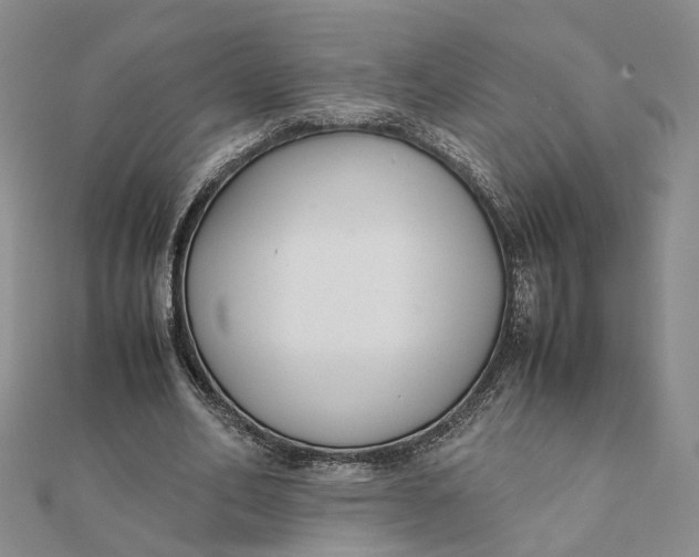 X0000111880582200908131635