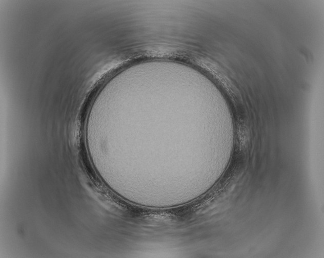 X0000111880583200908131635