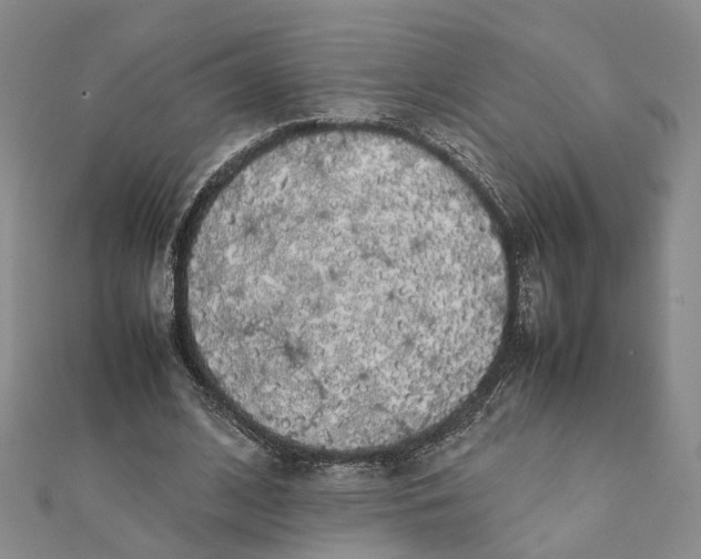 X0000111880584200908131635