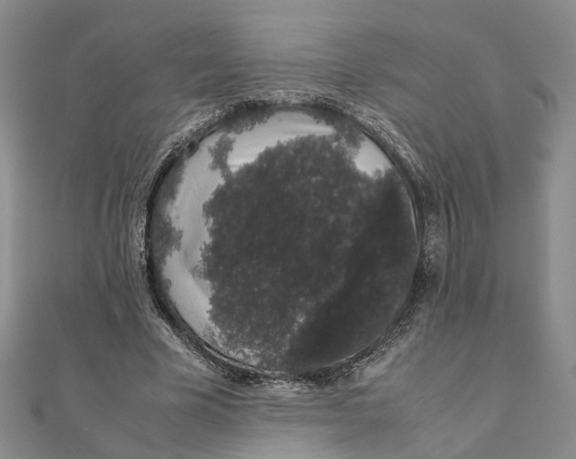 X0000111880585200908131635