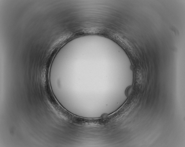 X0000111880586200908131635