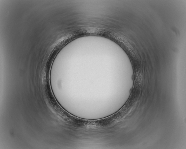 X0000111880587200908131635