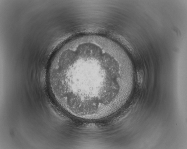 X0000111880588200908131635