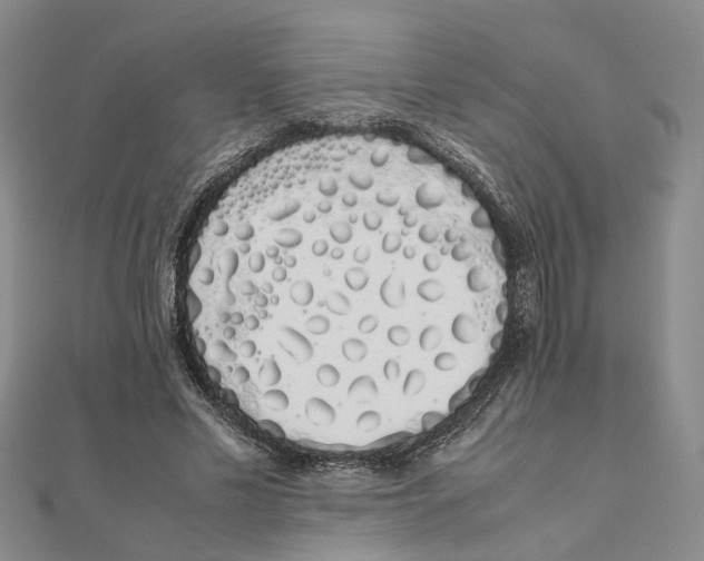 X0000111880589200908131635