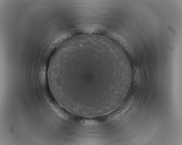 X0000111880590200908131635