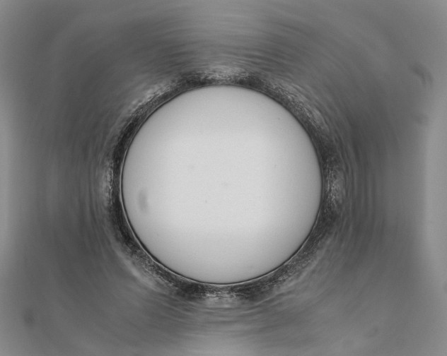 X0000111880591200908131635