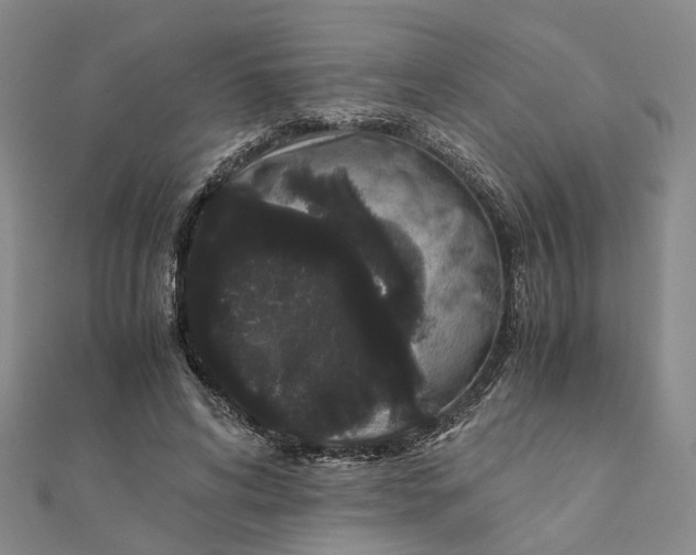 X0000111880592200908131635