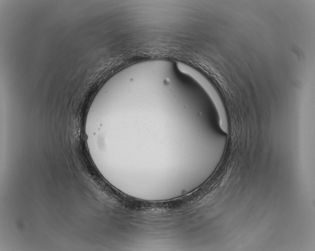 X0000111880593200908131635